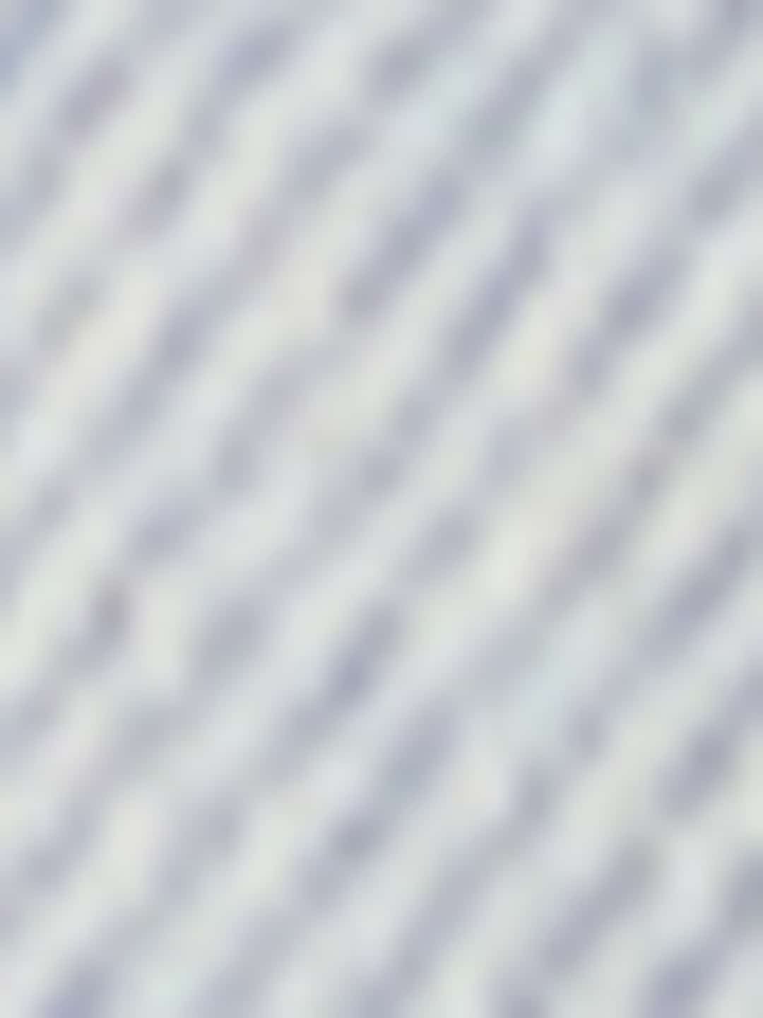 True Religion Sadie Skirt Mini La Jolla