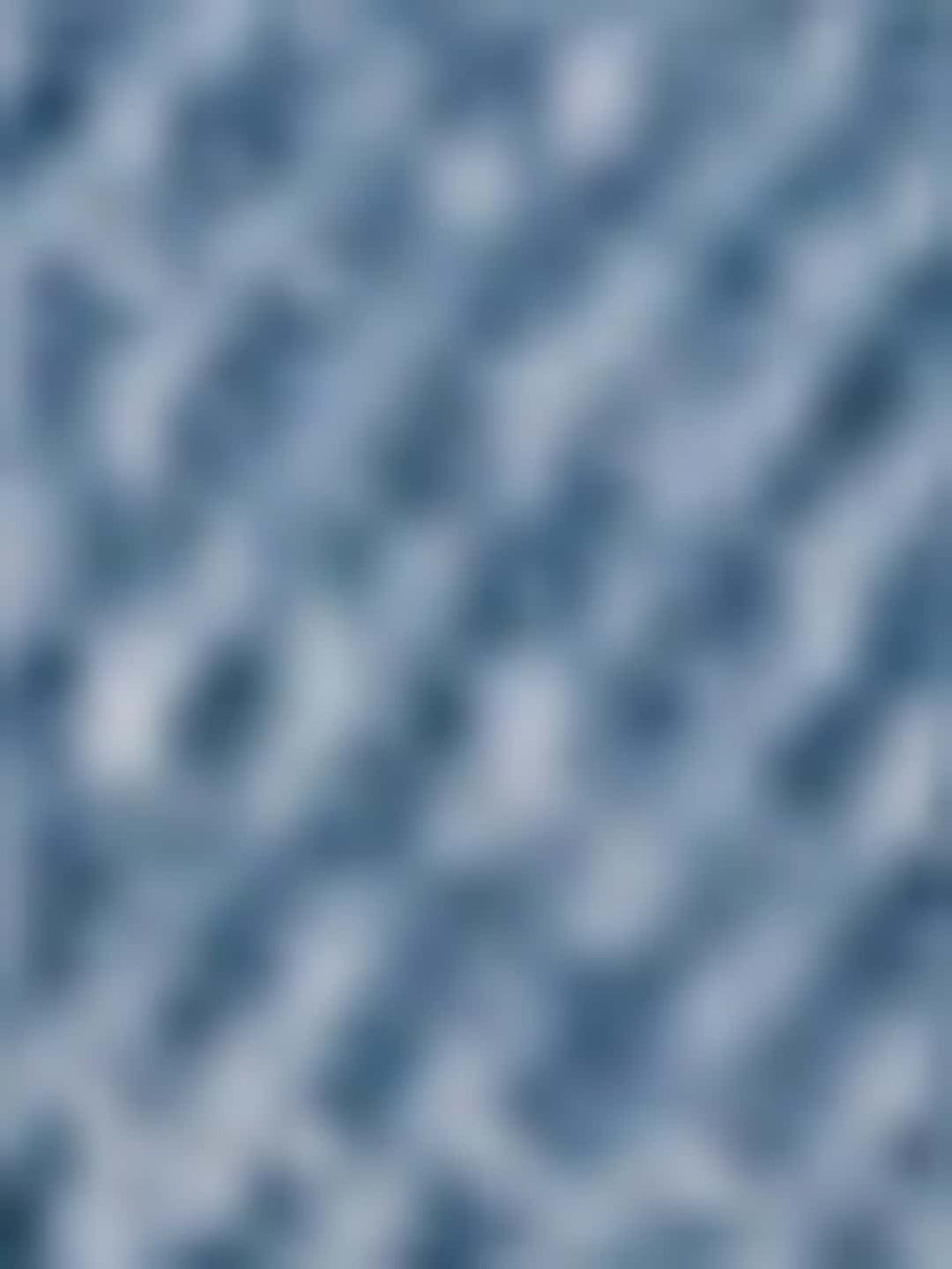 True Religion Sammy Shorts Mid Rise Big T Light Wash